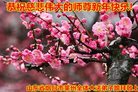Published on 12/31/2016 ���ֹ�,��½�󷨵��ӹ�ףʦ�������(34��)