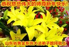 Published on 12/31/2016 ���ֹ�,��½�󷨵��ӹ�ףʦ�������(34��)