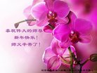 Published on 1/1/2017 ���ֹ�,��½�󷨵��ӹ�ףʦ�������(36��)
