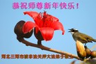 Published on 1/2/2017 ���ֹ�,��½�󷨵��ӹ�ףʦ�������(29��)