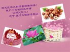 Published on 1/1/2017 ���ֹ�,��½�󷨵��ӹ�ףʦ�������(36��)