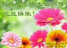 Published on 12/30/2016 ���ֹ�,��½�󷨵��ӹ�ףʦ�������(29��)