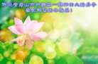 Published on 12/30/2016 ���ֹ�,��½�󷨵��ӹ�ףʦ�������(29��)