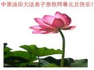 Published on 12/30/2016 ���ֹ�,��½�󷨵��ӹ�ףʦ�������(29��)