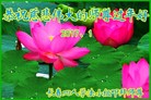 Published on 1/25/2017 ���ֹ�,��½�󷨵��ӹ�ףʦ�������(31��)