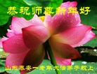 Published on 1/25/2017 ���ֹ�,��½�󷨵��ӹ�ףʦ�������(28��)
