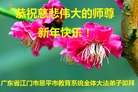 Published on 1/25/2017 ���ֹ�,��½�󷨵��ӹ�ףʦ�������(31��)
