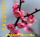 Published on 1/25/2017 ���ֹ�,��½�󷨵��ӹ�ףʦ�������(28��)