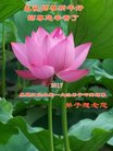Published on 1/25/2017 ���ֹ�,��½�󷨵��ӹ�ףʦ�������(29��)