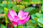 Published on 1/25/2017 ���ֹ�,��½�󷨵��ӹ�ףʦ�������(29��)