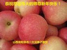Published on 1/25/2017 ���ֹ�,��½�󷨵��ӹ�ףʦ�������(33��)