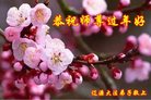 Published on 1/25/2017 ���ֹ�,��½�󷨵��ӹ�ףʦ�������(33��)