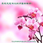 Published on 1/25/2017 ���ֹ�,��½�󷨵��ӹ�ףʦ�������(33��)