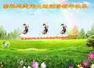 Published on 1/25/2017 ���ֹ�,��½�󷨵��ӹ�ףʦ�������(29��)