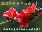 Published on 1/25/2017 ���ֹ�,��½�󷨵��ӹ�ףʦ�������(39��)