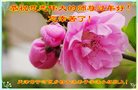 Published on 1/27/2017 ���ֹ�,���󷨵��ӹ�ףʦ�������(21��)