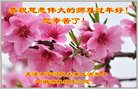Published on 1/25/2017 ���ֹ�,��½�󷨵��ӹ�ףʦ�������(27��)