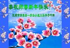 Published on 1/25/2017 ���ֹ�,��½�󷨵��ӹ�ףʦ�������(27��)