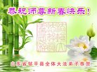 Published on 1/25/2017 ���ֹ�,��½�󷨵��ӹ�ףʦ�������(29��)