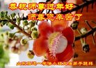 Published on 1/25/2017 ���ֹ�,��½�󷨵��ӹ�ףʦ�������(34��)