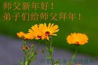 Published on 1/25/2017 ���ֹ�,��½�󷨵��ӹ�ףʦ�������(29��)