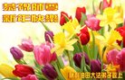 Published on 1/24/2017 ���ֹ�,����ҵ�󷨵��ӹ�ףʦ�������(30��)