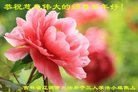 Published on 1/25/2017 ���ֹ�,��½�󷨵��ӹ�ףʦ�������(36��)
