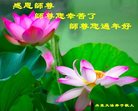 Published on 1/25/2017 ���ֹ�,��½�󷨵��ӹ�ףʦ�������(26��)