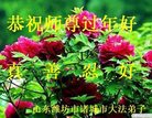 Published on 1/25/2017 ���ֹ�,��½�󷨵��ӹ�ףʦ�������(29��)