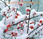 Published on 1/25/2017 ���ֹ�,��½�󷨵��ӹ�ףʦ�������(32��)