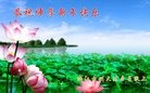 ֹ,㽭󷨵ӹףʦ(22)