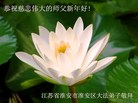 ֹ,մ󷨵ӹףʦ(26)