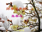 ֹ,󷨵ӹףʦ(20)