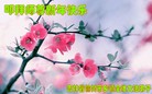 Published on 1/26/2017 ���ֹ�,���󷨵��ӹ�ףʦ�������(23��)