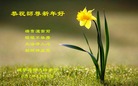 Published on 1/25/2017 ���ֹ�,��½�󷨵��ӹ�ףʦ�������(29��)