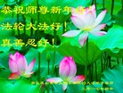 Published on 1/25/2017 ���ֹ�,��½�󷨵��ӹ�ףʦ�������(27��)