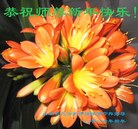Published on 1/25/2017 ���ֹ�,��½�󷨵��ӹ�ףʦ�������(30��)