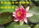 Published on 1/25/2017 ���ֹ�,��½�󷨵��ӹ�ףʦ�������(27��)