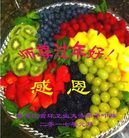 Published on 1/25/2017 ���ֹ�,��½�󷨵��ӹ�ףʦ�������