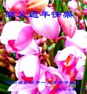 ֹ,ɶ󷨵ӹףʦ(23)