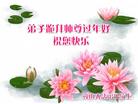 Published on 1/25/2017 ���ֹ�,��½�󷨵��ӹ�ףʦ�������(27��)