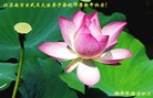 ֹ,մ󷨵ӹףʦ(26)