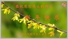Published on 1/24/2017 ���ֹ�,��½���Ӵ󷨵��������ʺ�ʦ�������