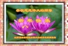 Published on 1/24/2017 ���ֹ�,��½���Ӵ󷨵��������ʺ�ʦ�������