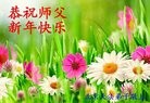 Published on 1/24/2017 ���ֹ�,��÷��ѩ�����š���������ߵлʦ��