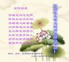 Published on 1/24/2017 ���ֹ�,��÷��ѩ�����š���������ߵлʦ��