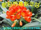 Published on 1/25/2017 ���ֹ�,��½�󷨵��ӹ�ףʦ�������(25��)