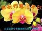 Published on 1/25/2017 ���ֹ�,��½�󷨵��ӹ�ףʦ�������(25��)