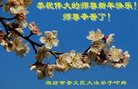 Published on 1/25/2017 ���ֹ�,��½�󷨵��ӹ�ףʦ�������(31��)
