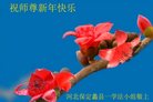 Published on 1/25/2017 ���ֹ�,��½�󷨵��ӹ�ףʦ�������(26��)